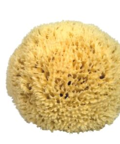 EPONGE DE MER VEGETALE avec cordelette 2 tailles