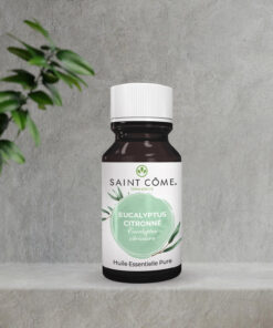 Huile Essentielle Pure - Eucalyptus Citronné - 10 ml
